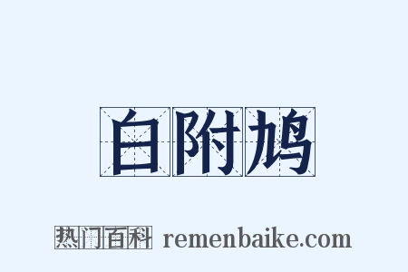 白附鸠是什么意思的图片